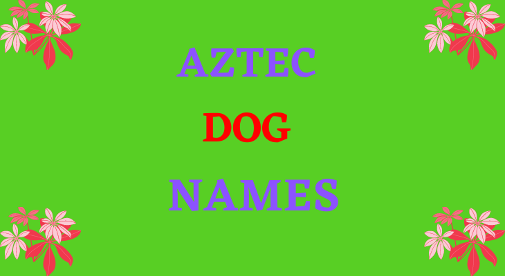 Aztec Dog Names