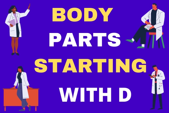 Body Parts Starting With D