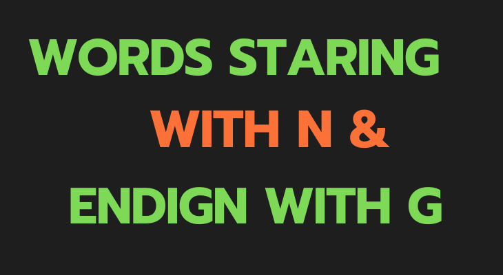 Words That Start With N And End With G