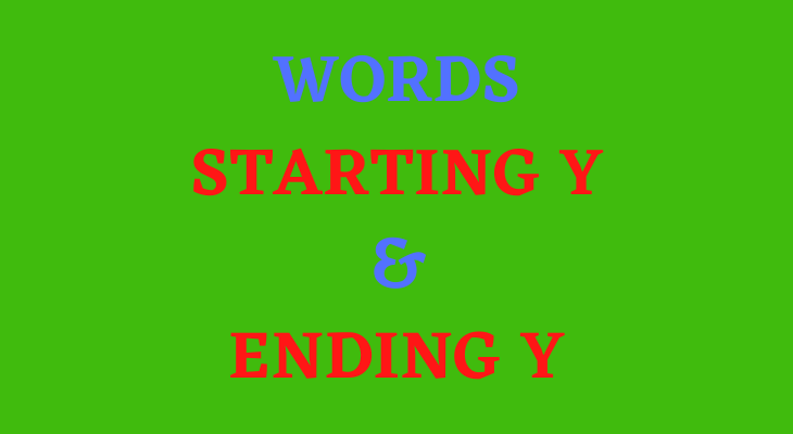 Words That Start With Y and End With Y